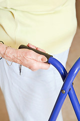 Image showing Elderly Woman with Zimmerframe