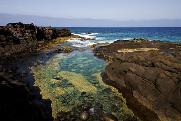 Image showing froth coastline in lanzarote spain