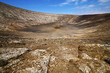 Image showing timanfaya  in los volcanes  spain plant flower bush