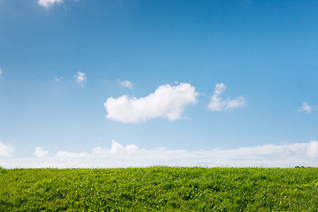 Image showing Green field and blue sky