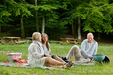 Image showing Friends Having Barbecue Picnic Outdoor