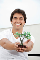 Image showing Man Holding An Artificial Plant