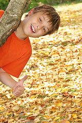 Image showing Happy child plays in fall autumn leaves