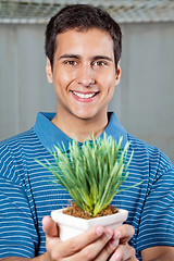 Image showing Man Holding Small Plant