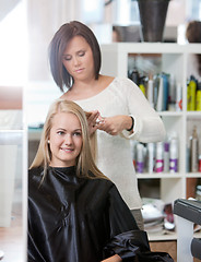 Image showing Woman at the Hairdresser Salon