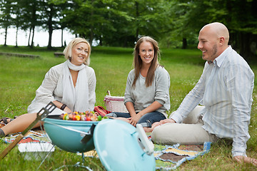 Image showing Happy Friends Having Picnic