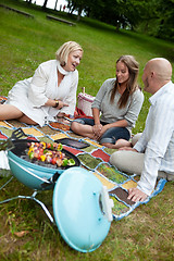 Image showing Barbecue Picnic in Park
