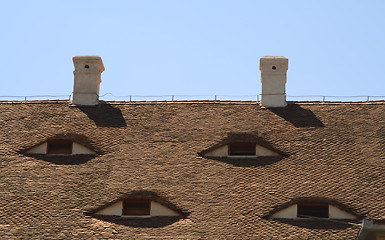 Image showing Roofs eyes