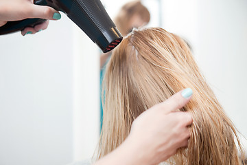 Image showing Stylist Drying Womans Hair