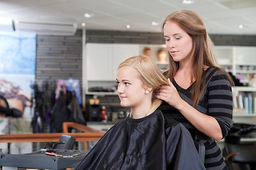 Image showing Happy Hairdresser and Client