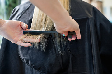 Image showing Hairstylist Combing Hair Of Customer