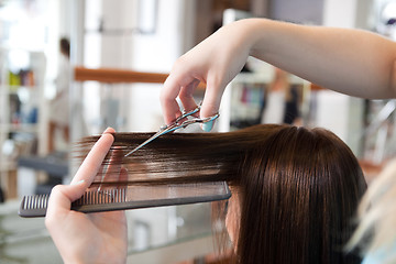 Image showing Hairdresser Cutting Client's Hair