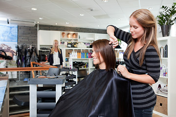 Image showing Hairdresser Thinning Customer's Hair