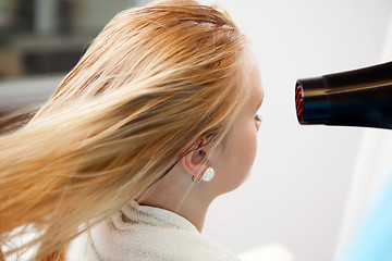 Image showing Woman's Hair Being Blow Dried