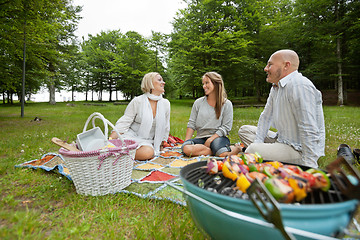 Image showing Friencds Barbecue Picnic