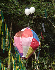 Image showing Colored and ecological balloon