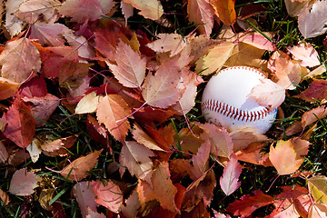 Image showing Baseball in fall season