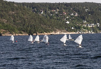 Image showing Regatta