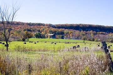 Image showing Autumn Scenery