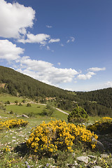 Image showing Summer in the mountains