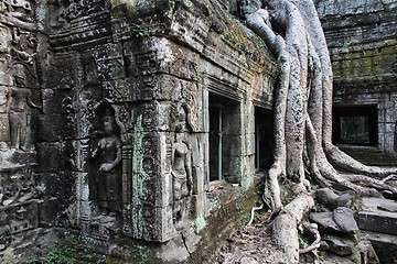 Image showing Ta Prohm