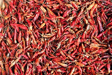 Image showing Drying chili peppers