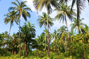 Image showing Ko Tao