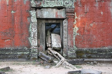 Image showing Cambodia - Ta Prohm