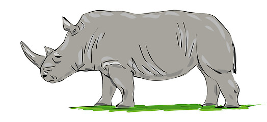 Image showing rhino