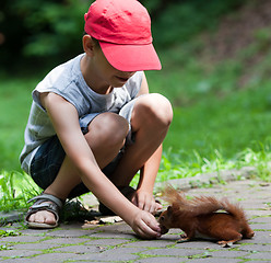 Image showing Little boy and squirrel