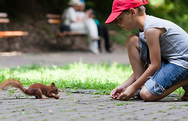 Image showing Little boy and squirrel