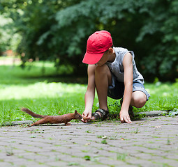 Image showing Little boy and squirrel