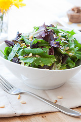 Image showing Garden greens salad