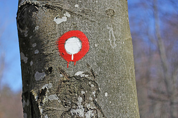 Image showing Hiking post pointing on tree