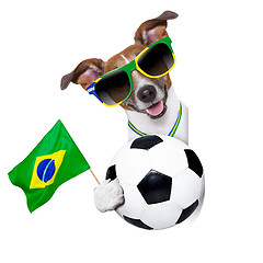 Image showing brazil  fifa world cup  dog