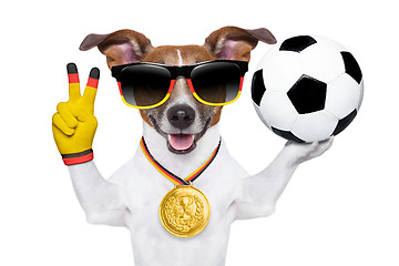 Image showing brazil  fifa world cup  dog