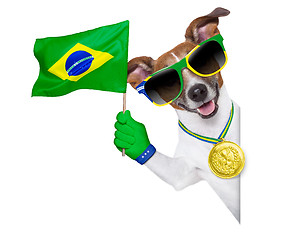 Image showing brazil  fifa world cup  dog