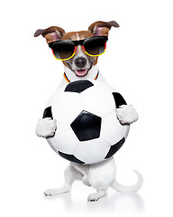 Image showing brazil  fifa world cup  dog