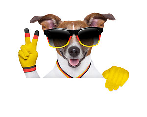 Image showing brazil  fifa world cup  dog