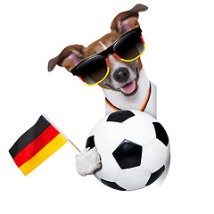 Image showing brazil  fifa world cup  dog