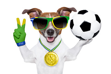 Image showing brazil  fifa world cup  dog