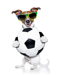 Image showing brazil  fifa world cup  dog