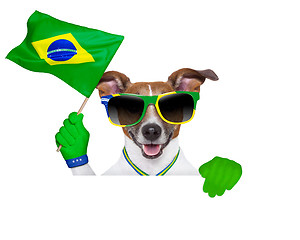 Image showing brazil  fifa world cup  dog