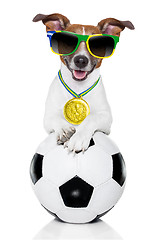 Image showing brazil  fifa world cup  dog