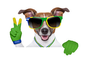 Image showing brazil  fifa world cup  dog