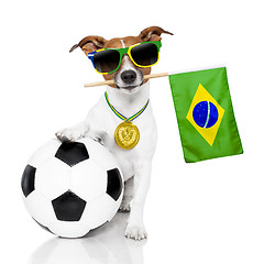 Image showing dog as soccer with medal and  flag