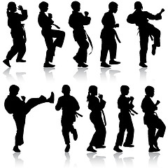 Image showing Set of black silhouettes of karate. Sport vector illustration.