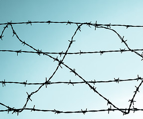 Image showing Barbed wire