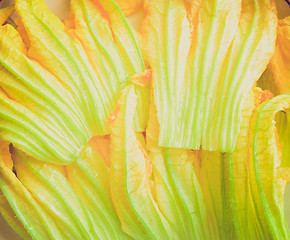 Image showing Retro look Courgette flowers