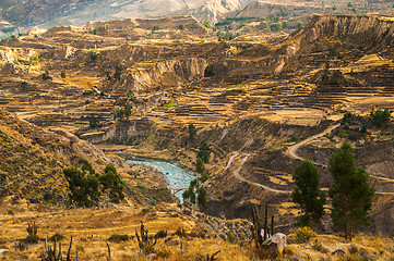 Image showing Colca Canyon View